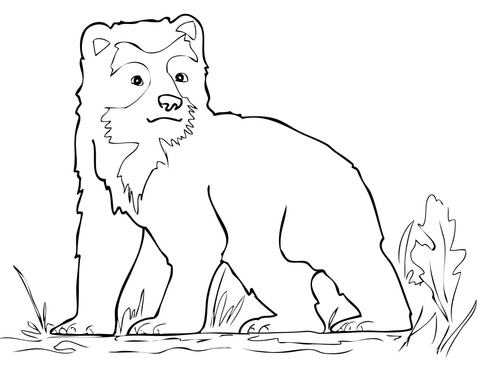 Spectacled Bear Cub Coloring Page